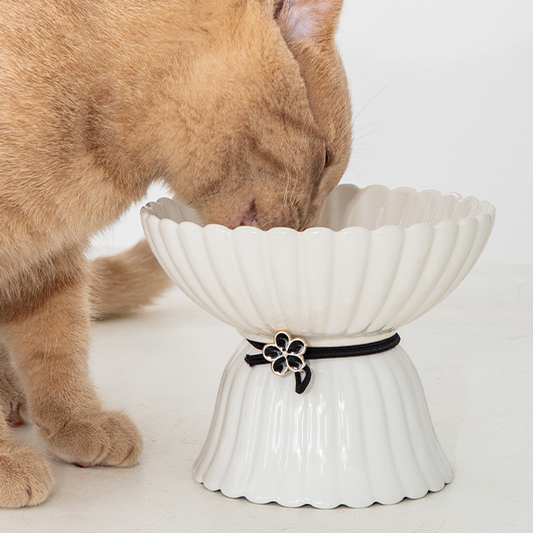 DEXYPAWS Elevated Ceramic Bowl Flower Black & White