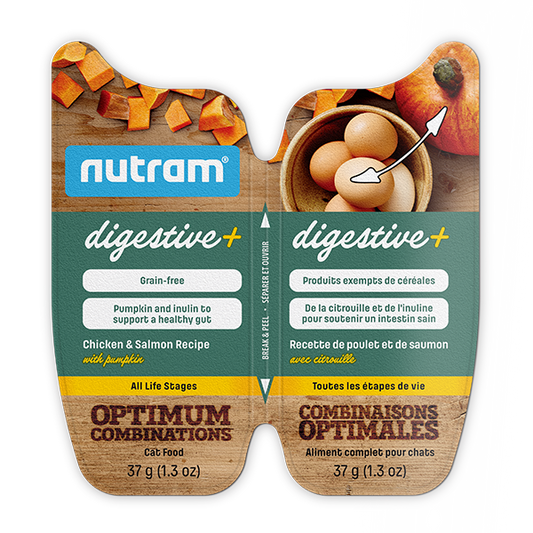 NUTRAM Digestive+ Chicken & Salmon Recipe Split Cup, 74g (37g X 2)