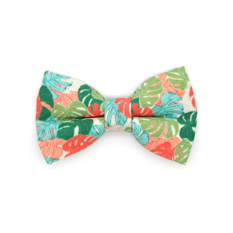 MADE BY CLEO Cabana Crush Bow Tie