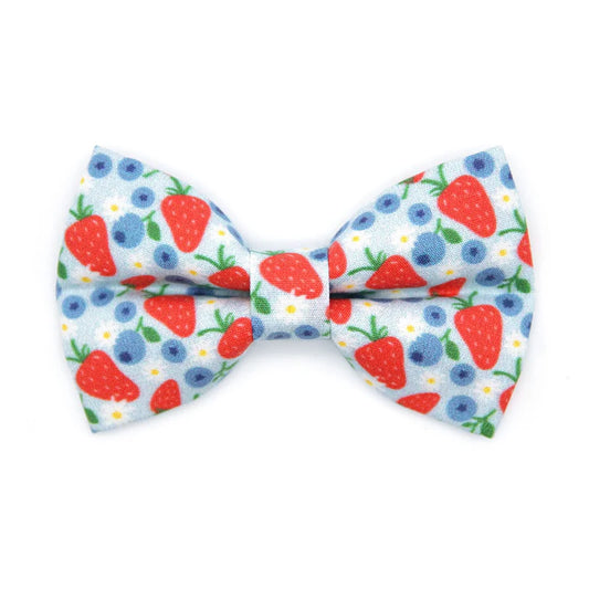 MADE BY CLEO Berry Bramble Bow Tie