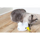 PETSAFE Peek-A-Bird Electronic Cat Toy