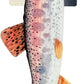 HUXLEY & KENT Rainbow Trout Kicker