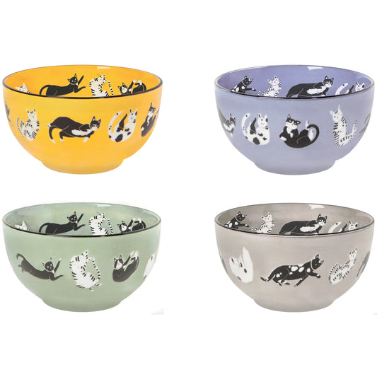 DANICA Meow & Furever Everyday Bowls, Set of Four