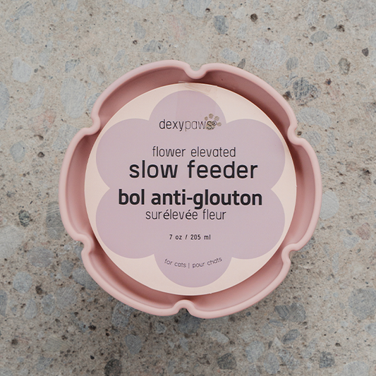DEXYPAWS Elevated Flower Slow Feeder, Blush Pink