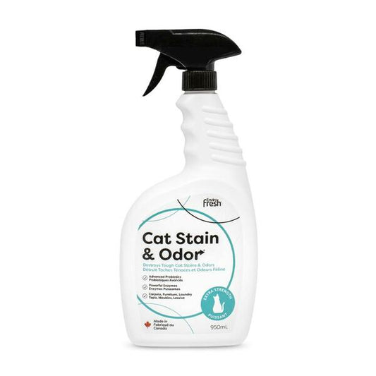 ENVIRO FRESH Stain & Odour Probiotic Enzymatic Orange Cleaner