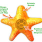 MEOWIJUANA Knock 'n' Nibble Refillable Starfish Treat Dispenser