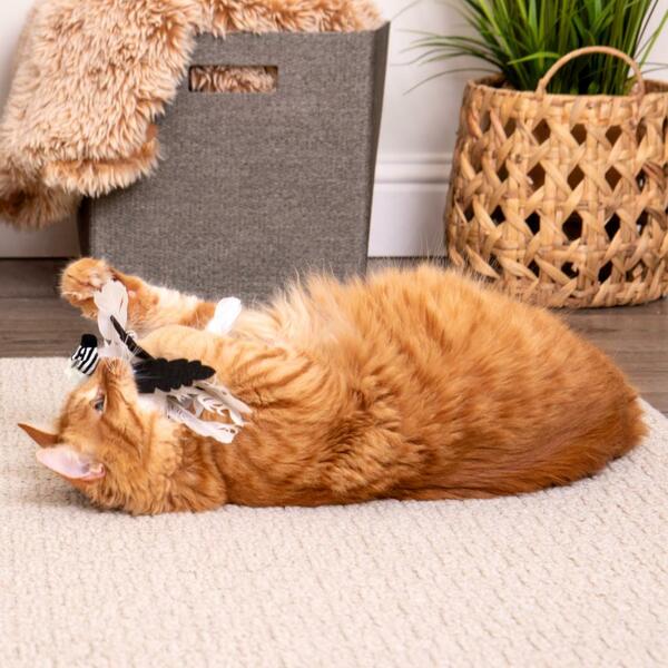 SMARTYKAT Instincts Zingy Zebra Toss & Chase Catnip/Silvervine Feather Toy