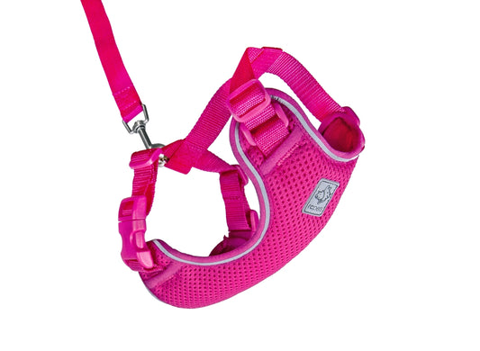 RC PETS Adventure Kitty Harness w/Leash Raspberry, small