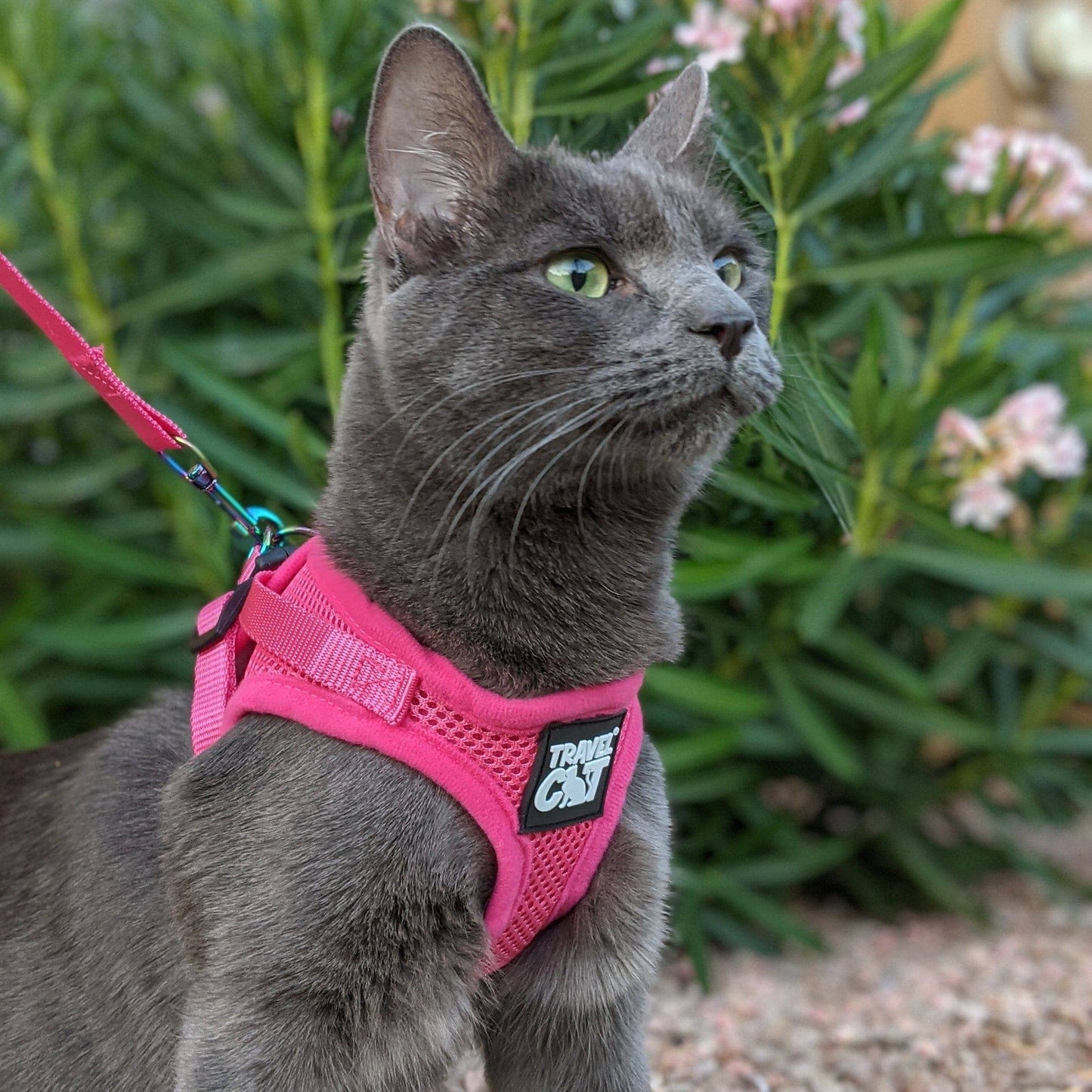 TRAVEL CAT The True Adventurer Reflective Harness and Leash Set, "The Purrfectly Pink"