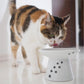 NECOICHI Extra Wide Raised Cat Food Bowl