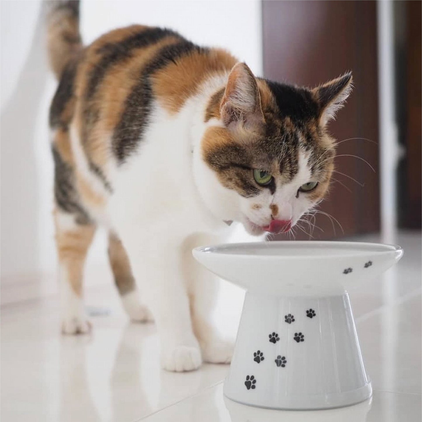 NECOICHI Extra Wide Raised Cat Food Bowl
