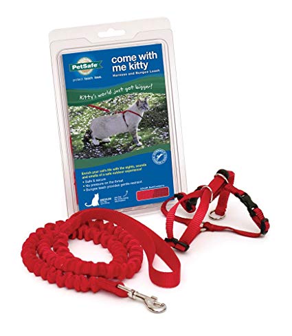 PETSAFE Come With Me Kitty Harness and Bungee Leash, Small, Red