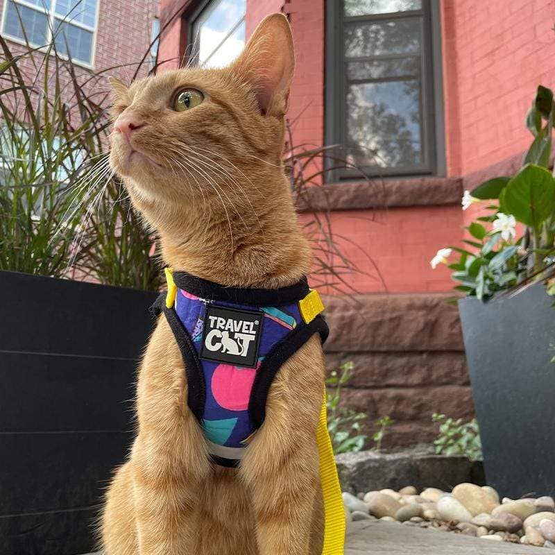 TRAVEL CAT The True Adventurer Reflective Harness and Leash Set, "The 90s Cat"