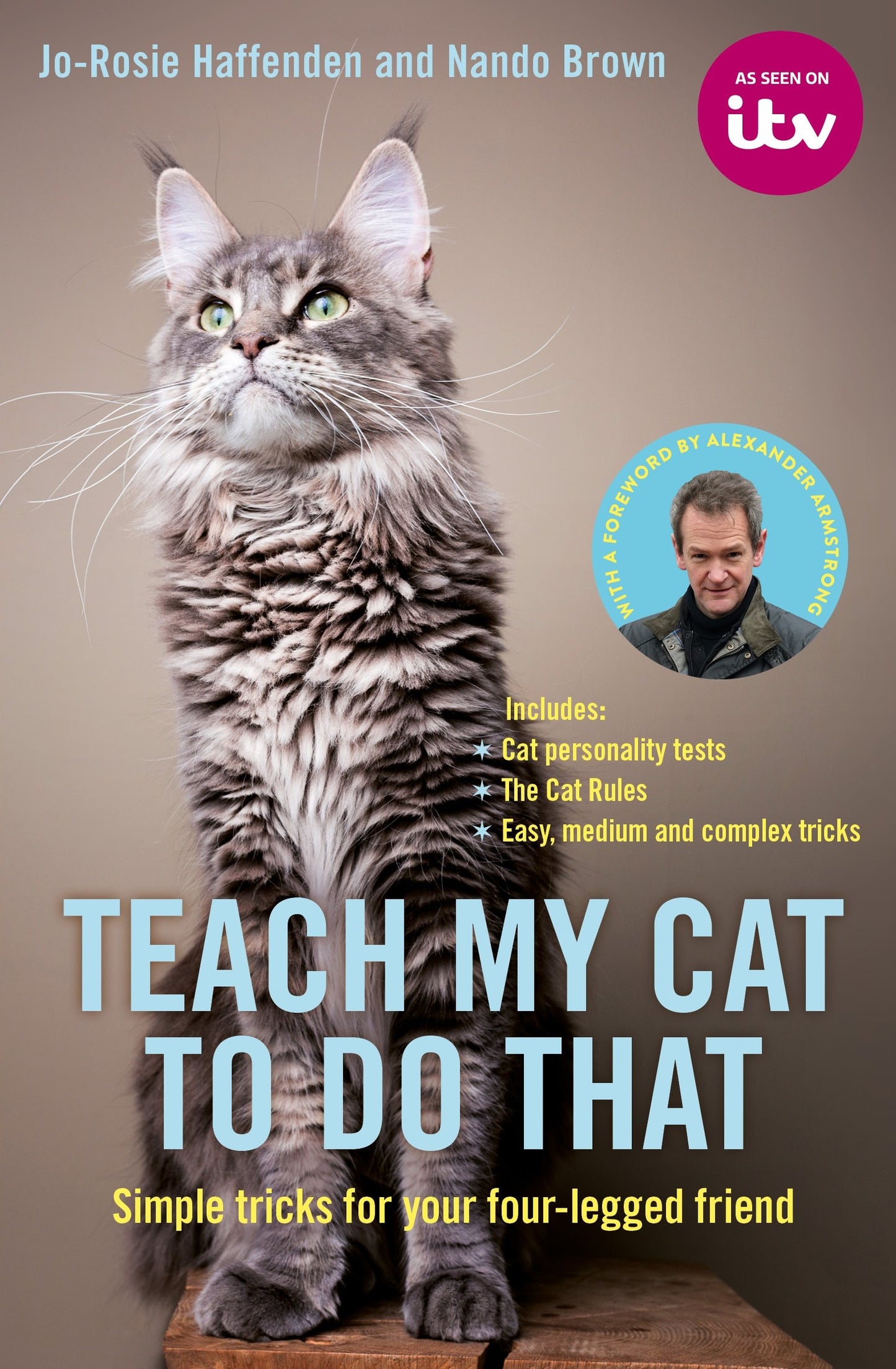Teach My Cat To Do That by Jo-Rosie Haffenden and Nando Brown