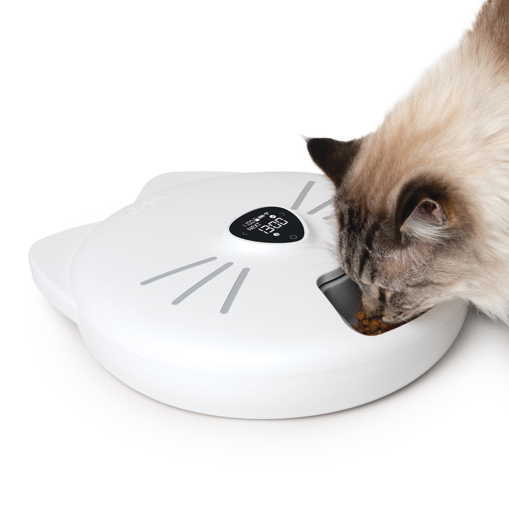 Cat it feeder best sale