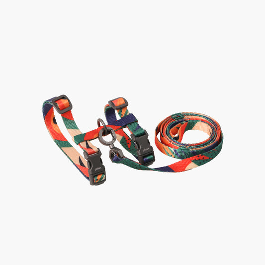 PIDAN Harness & Leash Set, Multicolor
