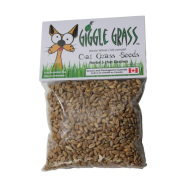 GIGGLE GRASS Cat Grass Seeds, 125g