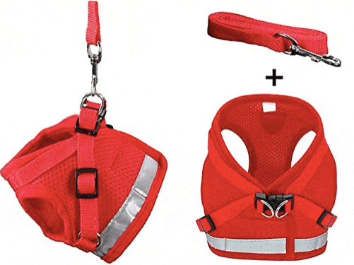 TRAVEL CAT The True Adventurer Reflective Harness and Leash Set, Red
