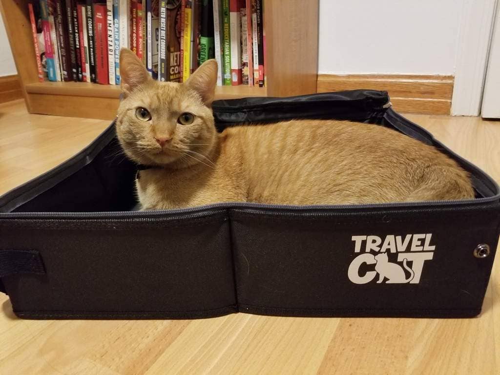 TRAVEL CAT "The Porta-Pawty" Travel Litter Box