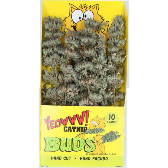 YEOWWW! Catnip Buds