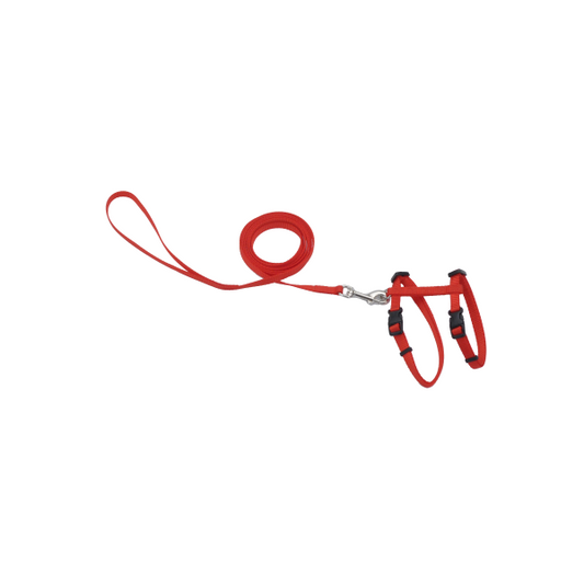 COASTAL Adjustable Harness with 6' Leash, Red