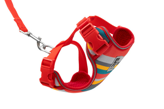 RC PETS Adventure Kitty Harness w/Leash Multi-Stripes, small