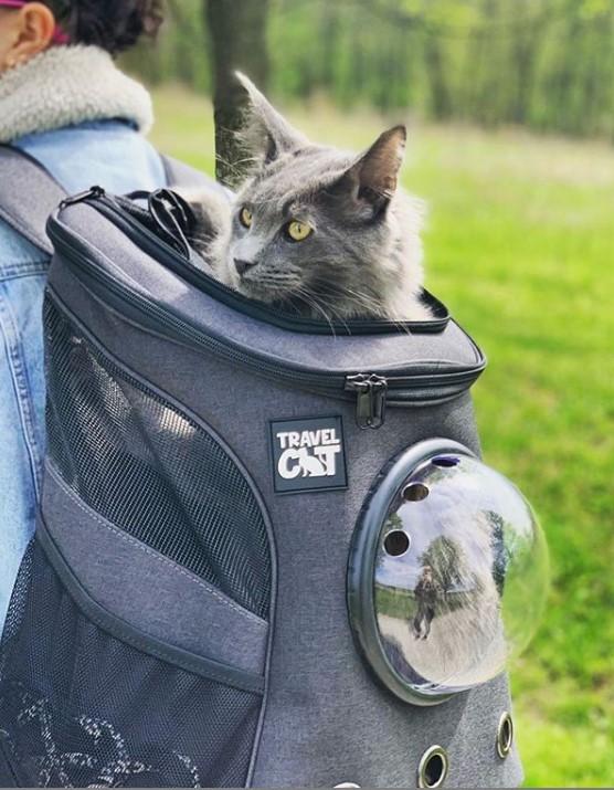 TRAVEL CAT The Fat Cat Backpack, Charcoal